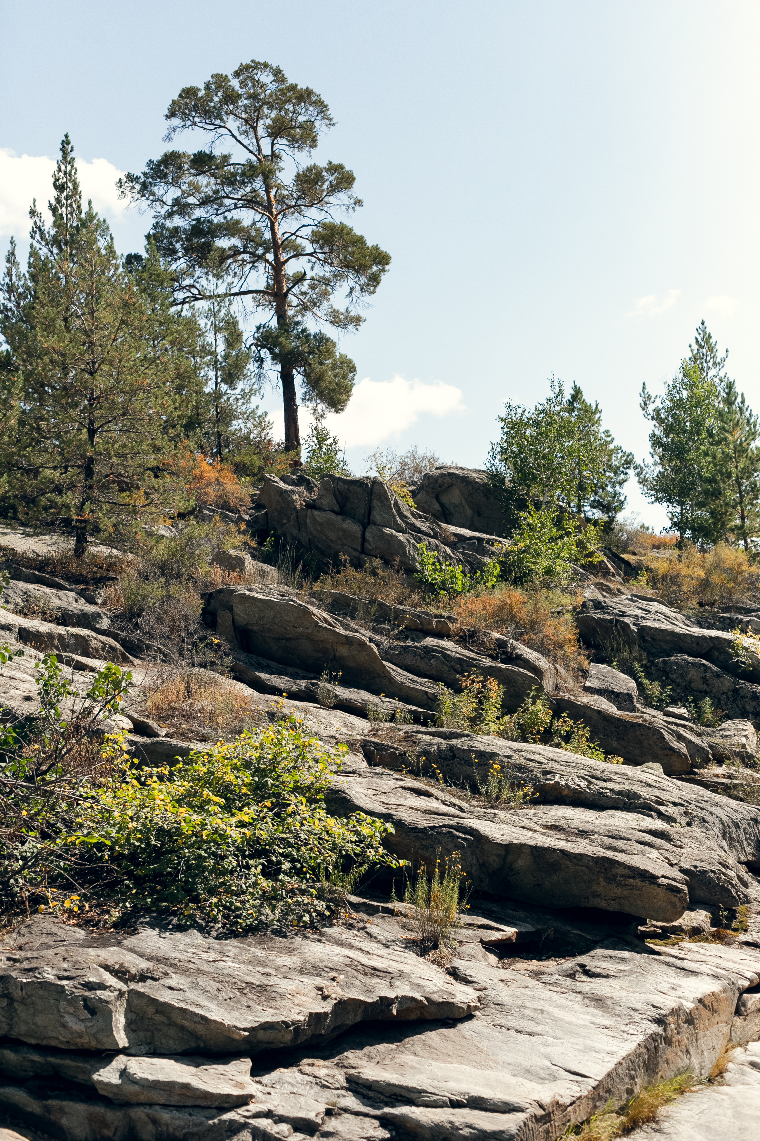 Карагайский бор на реке Губерля