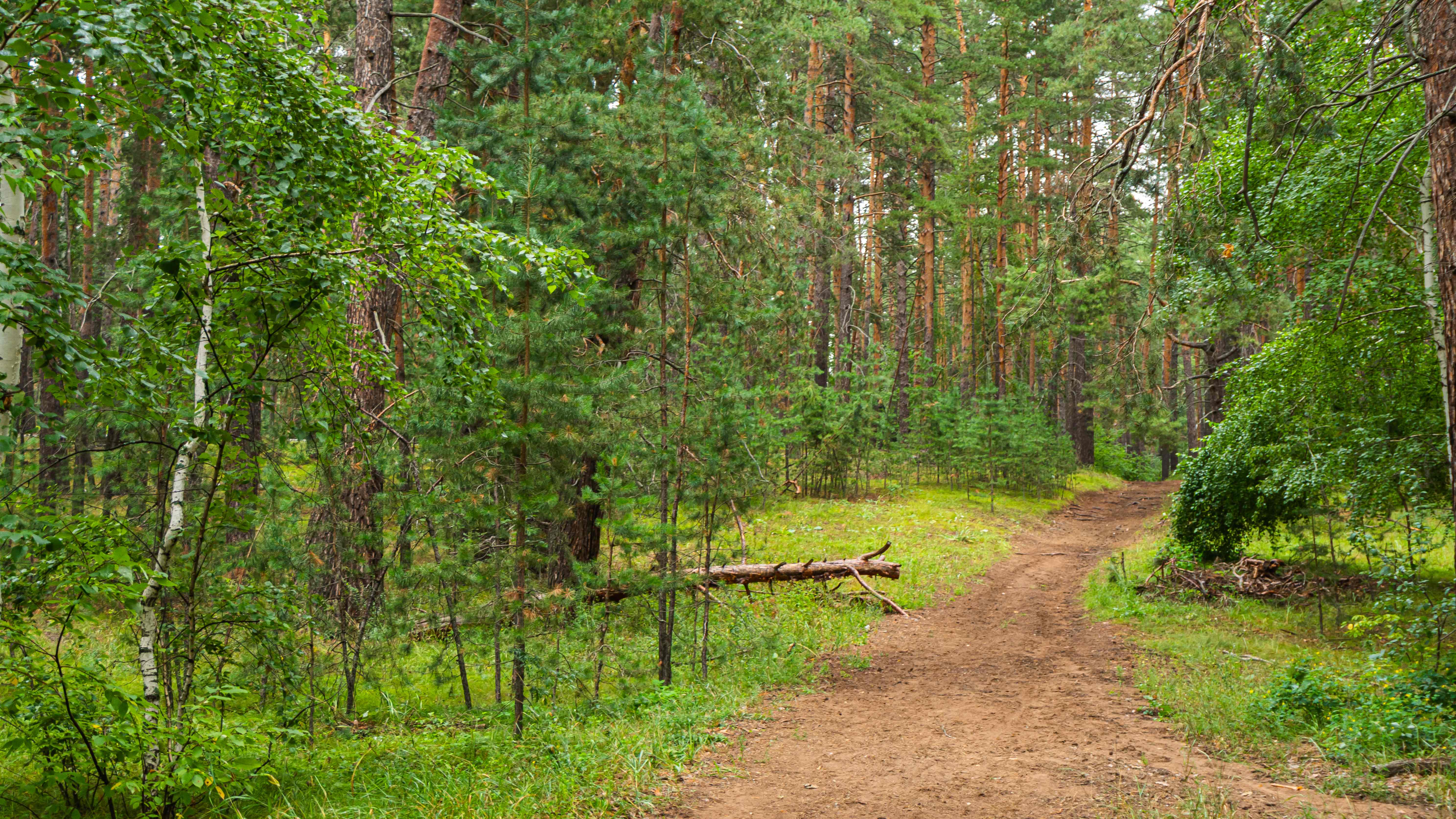 Тропа здоровья